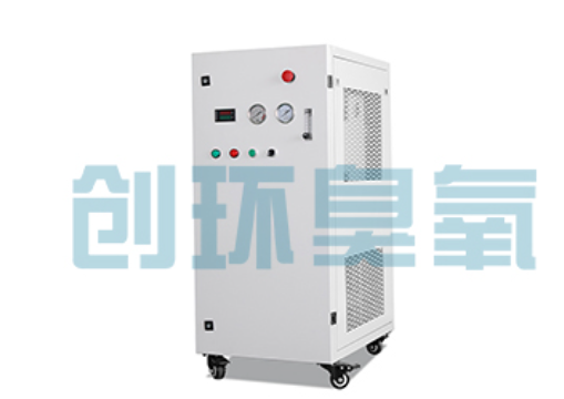 宁晋石斑鱼养殖水质调控完整指南:臭氧发生器配置与操作步骤