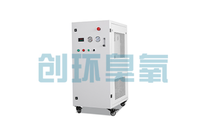 宁晋比传统换水更高效?臭氧发生器在石斑鱼养殖中的水质净化原理解析