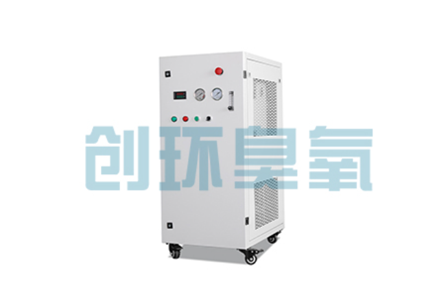 宁晋比传统换水更高效？臭氧发生器在石斑鱼养殖中的水质净化原理解析
